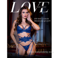 China Comfortable Blue Lace Bra And Panty Set Supplier